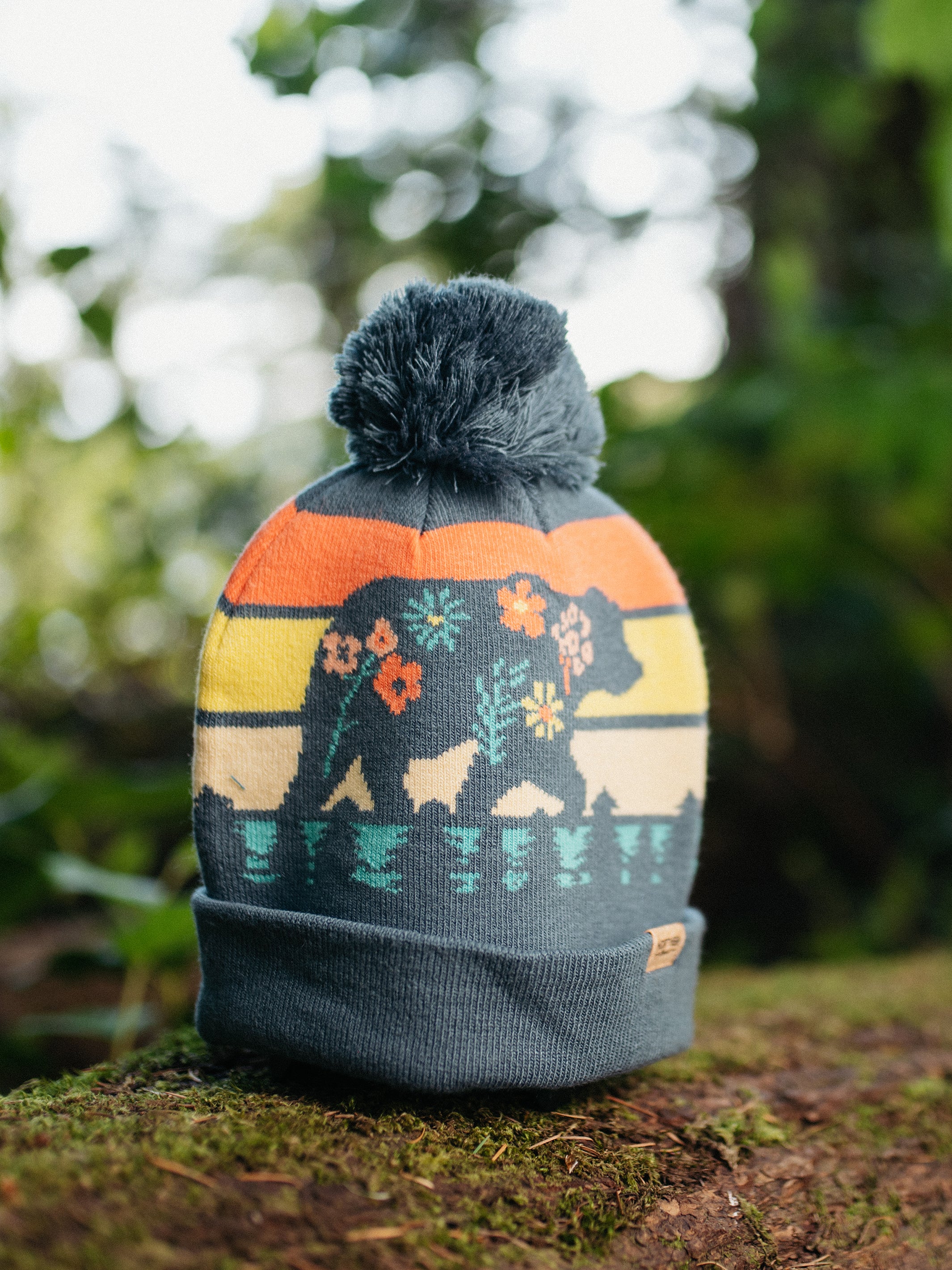 Celebrate the Wilderness Glacier National Park Beanie Northern Icons