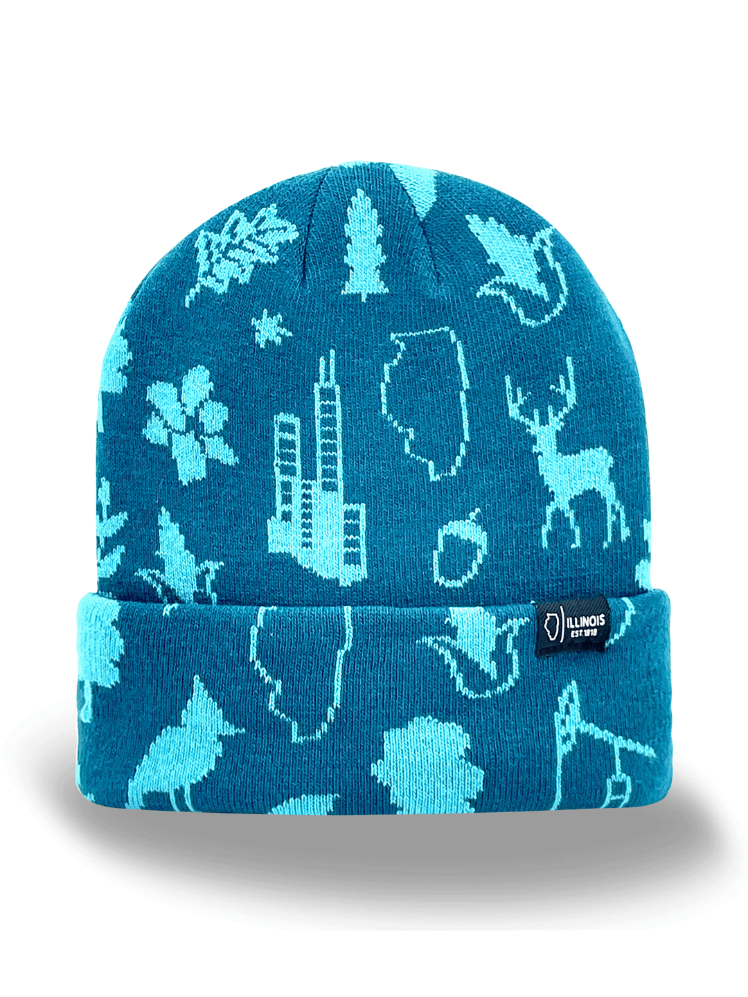 Illinois Knit Beanie Hat – State Icons, Winter Warm, Chicago Travel Souvenir Gift