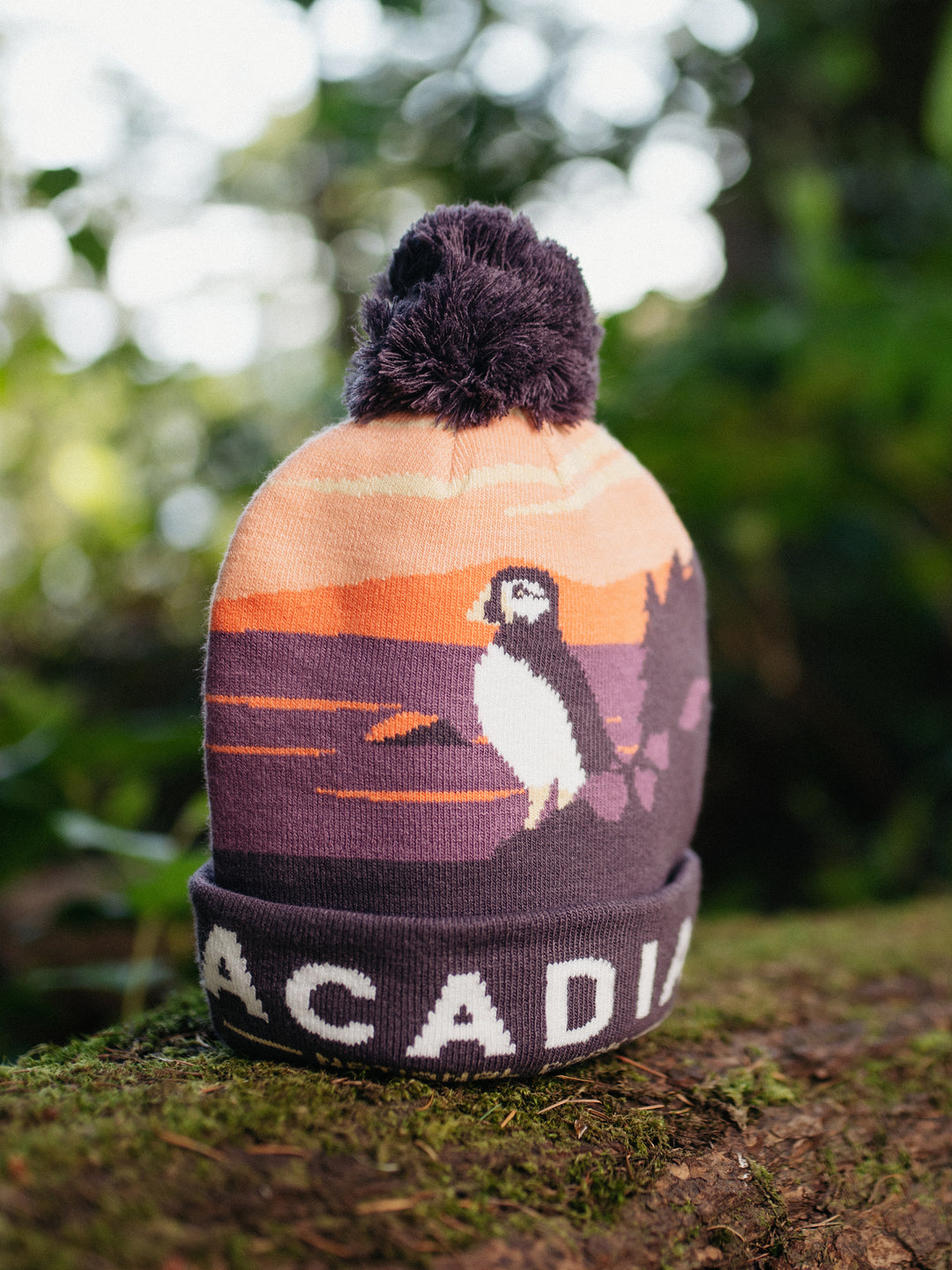 Acadia National Park Beanie Hat with Puffin Pom Pom Winter Knit Cap Outdoor Hiking Hat