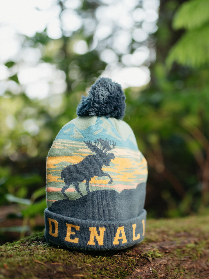 Denali National Park Beanie Winter Knit Hat with Pom Pom Warm Souvenir