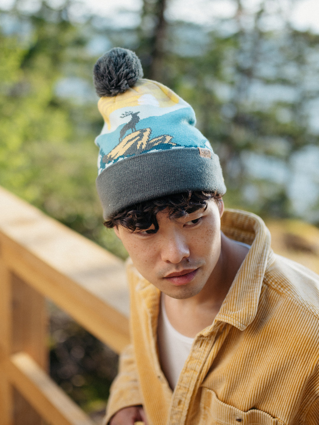 Shenandoah National Park Beanie with Deer Design, Pom Pom Knit Hat for Outdoors